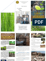 Final Brochure PDF