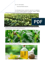 Gmo 2 PDF