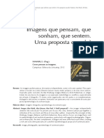 como pensam as imagens.pdf