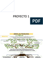 ARBOL DE PROBLEMAS p1