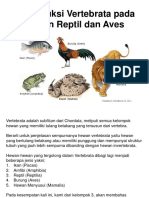 Reproduksi Vertebrata Pada Hewan Reptil Dan Aves - Kelompok 3