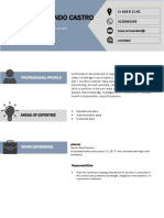 Curriculum - Vitae - Format-1 2 PDF