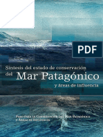  Mar Patagonico