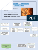 Inmunidad Gestacional