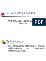 13. Carbohidratos, Glucidos.ppt