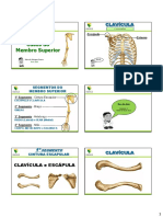 Esqueleto-Apendicular-Membro-Superior.pdf
