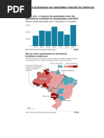 Pesquisa Sobre as Queimadas Na Amazônia Através de Gráficos