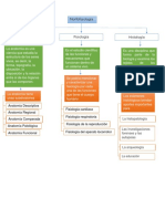 Mapa Conceptual Morfofisiologia