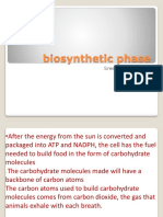 Presentation1 Biosynthetic Phase