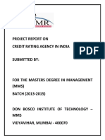 Project Report On Credit Rating Agency in India