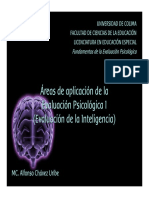 Inteligencia PDF