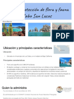 Presentacion Ambiental Cabo San Lucas