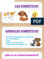 Animales Domésticos Brianna