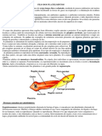 Filo Dos Platelmintos e Nematelmintos 7 Ano PDF
