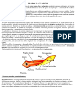 Os principais platelmintos e nematódeos parasitas humanos