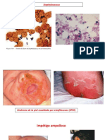 Imagenes Microbiologia de La Piel