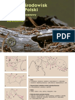 Mrowki lesne.pdf