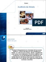 Manual de una auditoria de estado_ejemplo.pdf