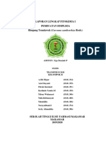 Laporan Lengkap Fitokimia I (Kel.2)