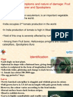 Spodoptera_0.ppt