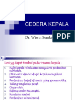 cedera_kepala