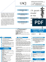 Triptico Academicas PDF