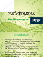 Metabolisme