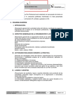 Estructura informe prácticas profesionales