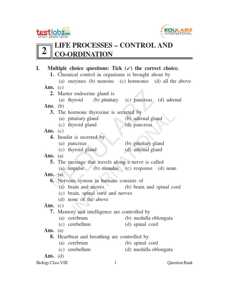 Control and Coordination 12 | PDF | Endocrine System | Neuron