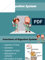 Digestive System