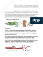 Biolog I