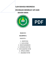 Api dari Bahan Kimia (40