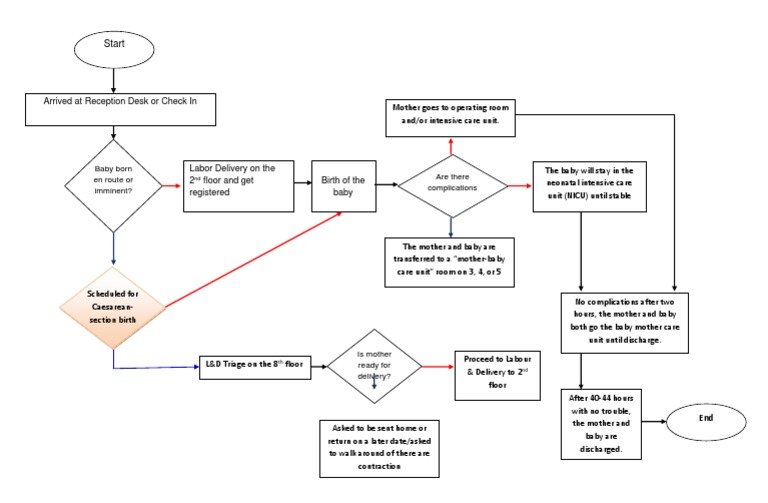 Start: Baby Born en Route or Imminent? Are There Complications | PDF ...