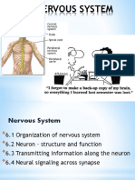 6. Nervous System.pdf