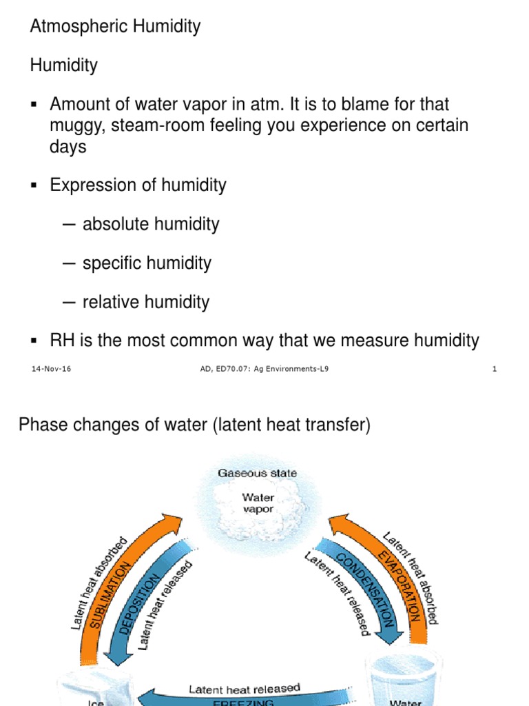 Humidity: Relative vs. Absolute Explained | PDF | Relative Humidity ...