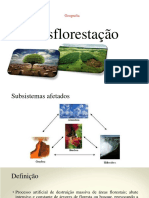 Desflorestação: Causas, Consequências e Medidas