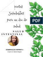 E Book Un Dia Intestino Saludable 101