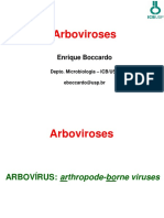 Arboviroses - 22-11-2018 BMM560