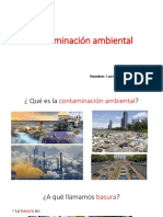 Contaminación Ambiental