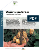 Potato Guide ORC Download