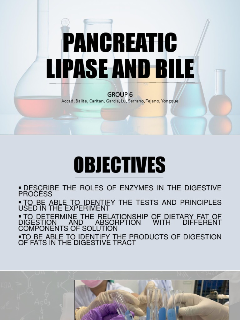 Pancreatic Lipase and Bile PDF Bile Digestion