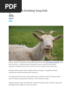 Cara Ternak Kambing Yang Baik