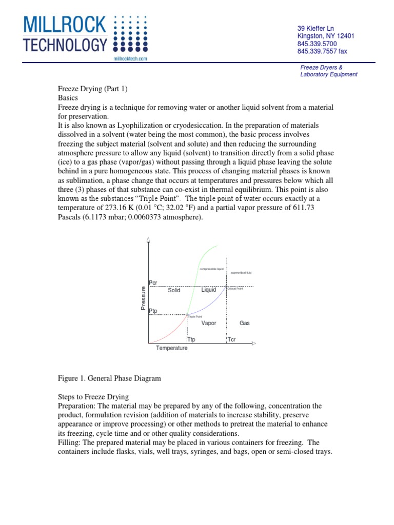 Freeze Drying Process Overview | PDF | Freeze Drying | Phase (Matter)