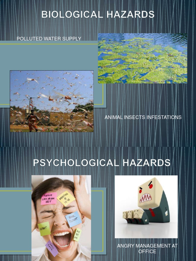 Polluted Water Supply | PDF | Science & Mathematics