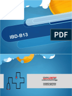 DK3 Ibd-B13
