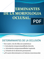 Determinantes para La Oclusio