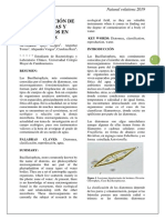 Análisis de diatomeas y protozoos en muestras de agua para determinar grado de contaminación