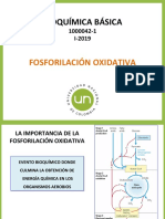 FOSFORILACIÓN OXIDATIVA