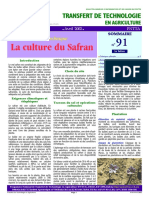Culture Safran
