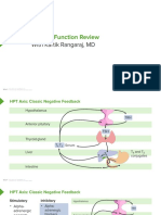 Slides ThyroidFunction EndocrinePathology